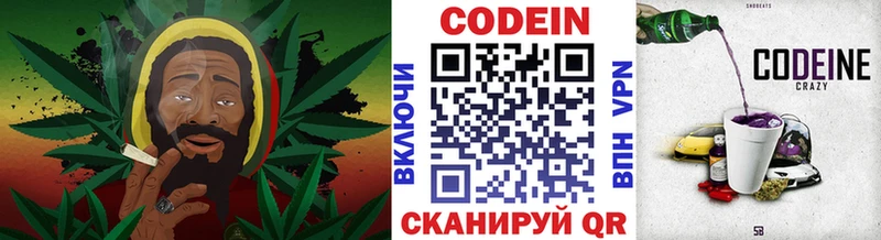 цена наркотик  mega маркетплейс  Кодеин напиток Lean (лин)  Судогда 