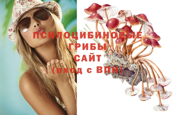 скорость Алексин