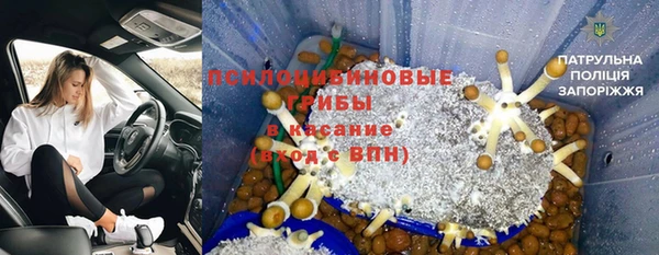 а пвп мука Алзамай